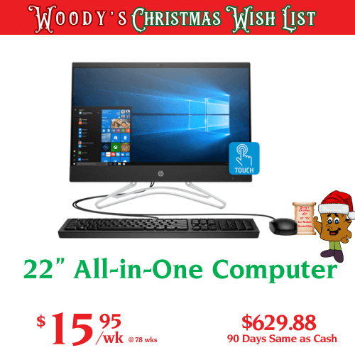 22" All-in-One Computer