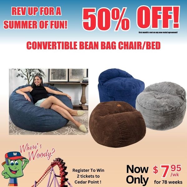 Bean Bag Chair/bed